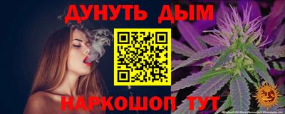 сатива Будённовск