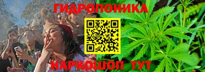 сатива Будённовск