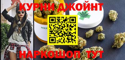 сатива Будённовск