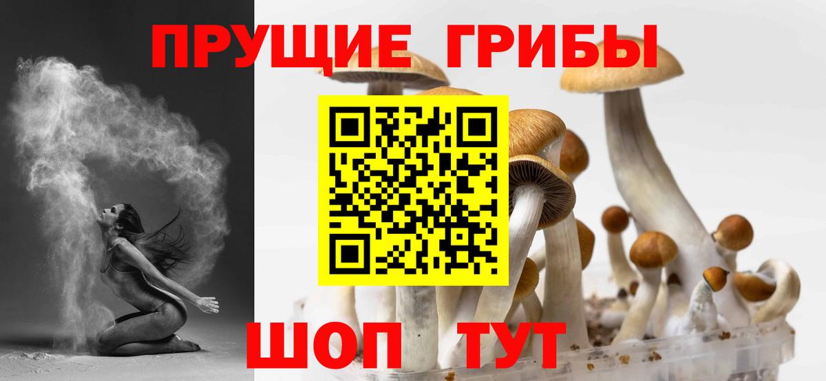Галлюциногенные грибы мицелий Строитель
